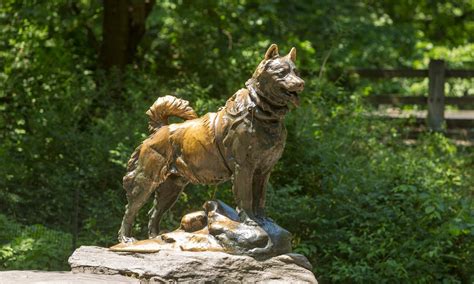 Balto Statue | Central Park Conservancy