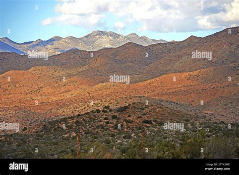 Desert Anza Borrego Desert State Park Southern California Usa Stock