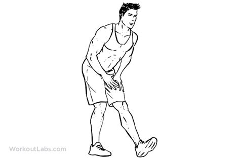 Standing Hamstring Stretch | WorkoutLabs