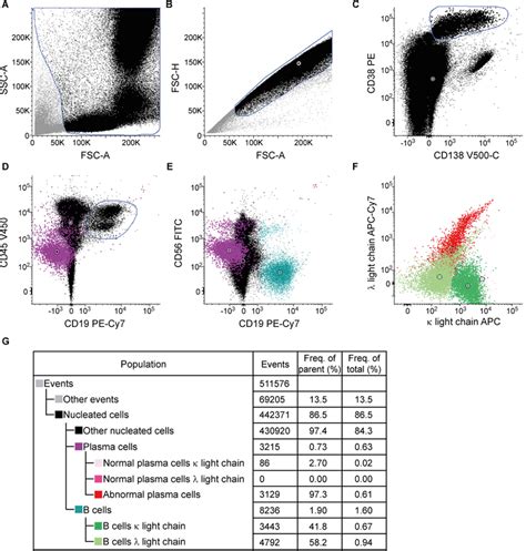 Identification Of Aberrant Plasma Cells In Human Multiple Myeloma Bone