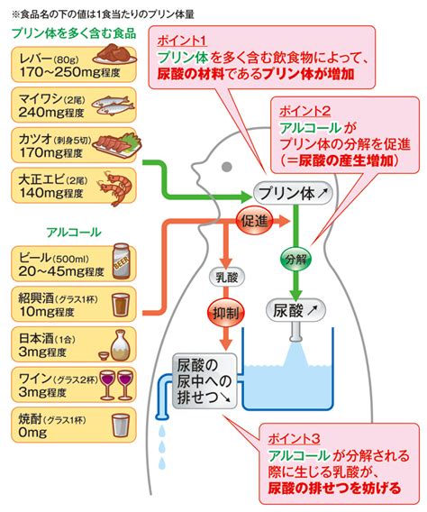 プリン体の多い食品一覧・少ない食品一覧（ビール類・飲料を除く） キラキラ快適life