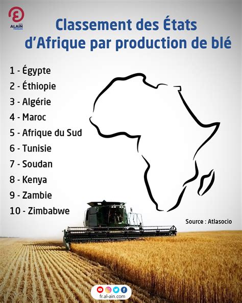 Classement Des États Dafrique Par Production De Blé