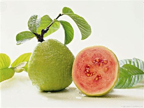 Common Korean Guava Color Green At Best Price In Kottayam Id 4932764