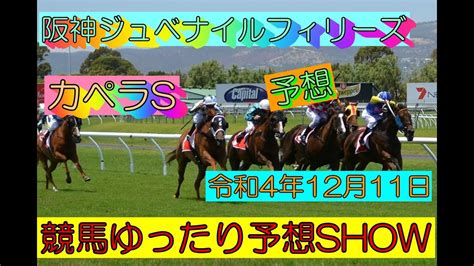 競馬ゆったり予想show【阪神ジュベナイルフィリーズ・カペラs】 Youtube