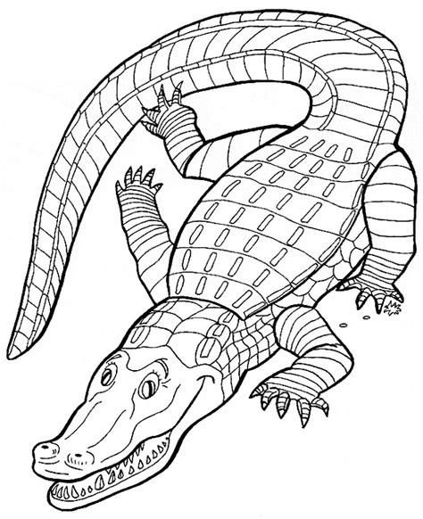 Crocodile coloring page - Crocodile free printable coloring pages animals