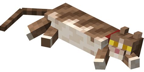 Filelying Down Tabby Cat With Red Collarpng Minecraft Wiki，最详细的官方我的世界百科