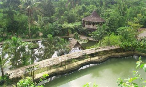 Desa Wisata Pentingsari Desa Wisata Hits Bernuansa Alam Di Sleman Itrip