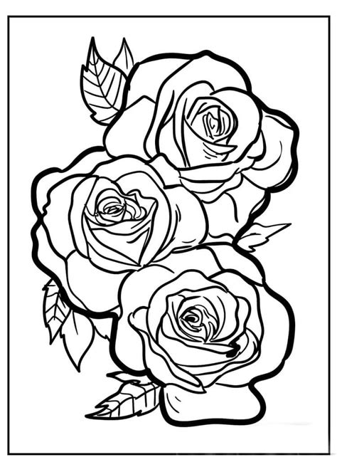 Tres Rosas Para Colorear Imprimir E Dibujar ColoringOnly