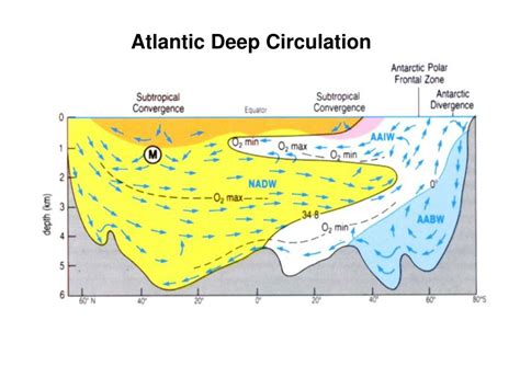 Ppt Great Ocean Conveyor Belt Illustration Of Thermohaline