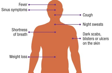 The Effects Of Mould On Human Health