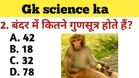 Common General Knowledge Questions And Answer In Hindi Top Gk