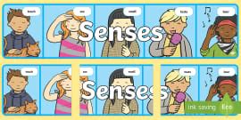 KS1 The Five Senses Sight A4 Display Poster Twinkl