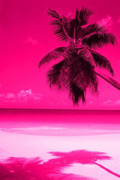 Pink Palm Trees Pink Sunset Tree Wallpaper Palm Trees Wallpaper