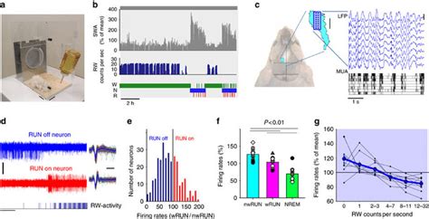 Cortical Neuronal Activity In The Primary Motor Cortex M During