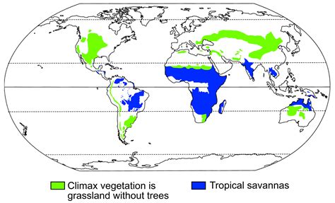 Overview Of Global Grassland Ecosystems Earth Home Evolution