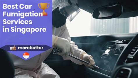 7 Best Car Fumigation Services In Singapore For Pest Control And NEA