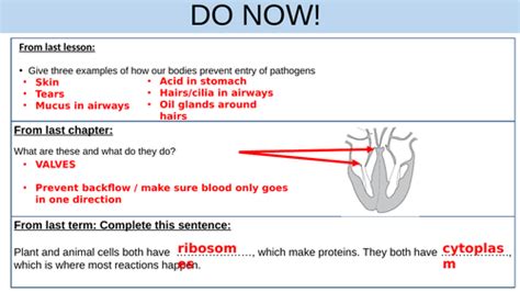 Defence Against Disease B3 Gcse Aqa Bio Teaching Resources