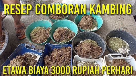 Resep Comboran Kambing Etawa 3000 Rupiah Di Kandang Pak Eco Farm YouTube