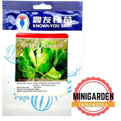 Jual Selada Green Romaine Gram Pack Besar Benih Biji Selada Hijau