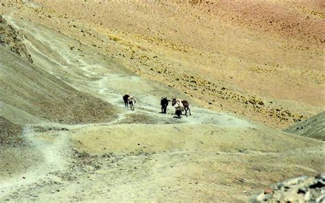 CERCANORTE Los Secretos De Las Sierras Orientales Cianzo Zenta