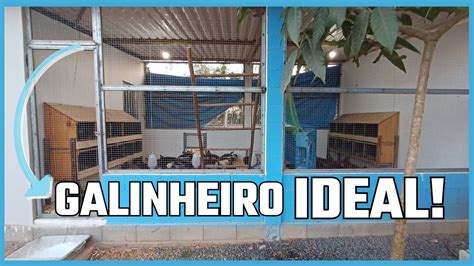 GALINHEIRO IDEAL Para Galinhas POEDEIRAS Como Deve Ser YouTube