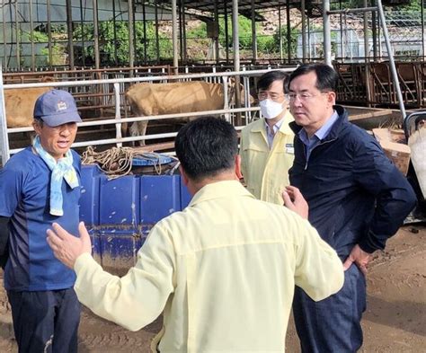 안병우 농협 축산경제대표이사 집중호우 피해 현장 점검 네이트 뉴스