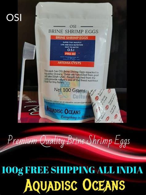 OSI Pro 80 Brine Shrimp Eggs Artemia 100 Grams At Rs 1200 Pack