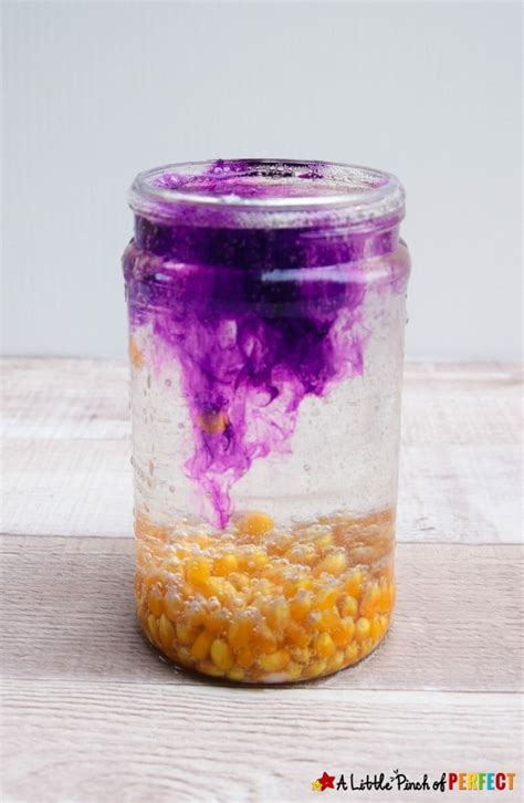 Dancing Corn Science Experiment - A Little Pinch of Perfect