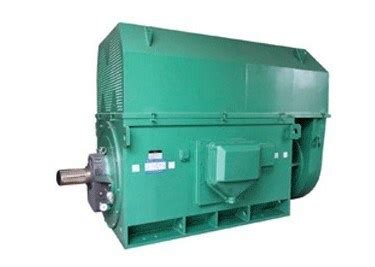 YKK Series High Voltage Three Phase Induction Motor China High