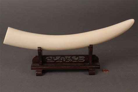 Lot 428: Ivory Tusk on stand