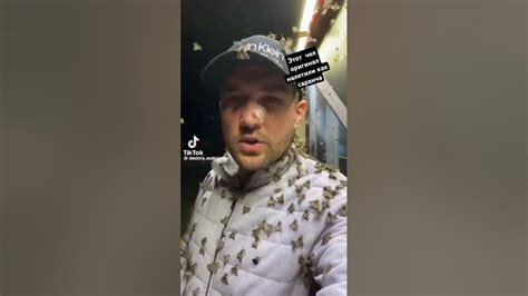Налетели как саранча - YouTube