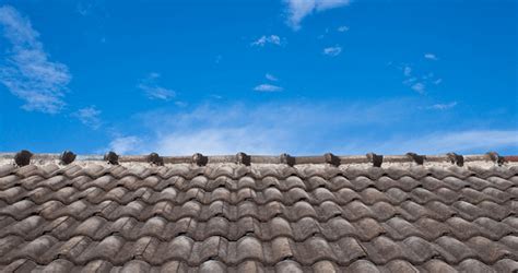 Tile Roofing Pros And Cons You Need To Know