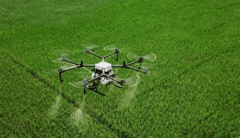 How Drones Are Utilized By Environmental Agencies For A Diverse Range