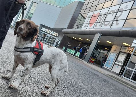 Greater Manchester Police On Twitter RT GMPMcrAirport Specialist