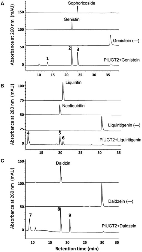 High Performance Liquid Chromatography Hplc Analysis Of The Products