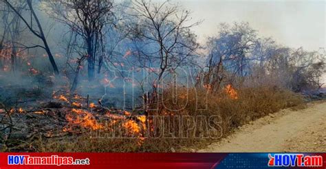 Hoy Tamaulipas Incendio Forestal Afecta Cinco Ejidos De Tula Tamaulipas