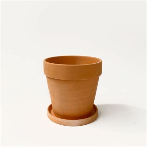 Maceta Cl Sica Terracota Con Plato Small The Plant Store