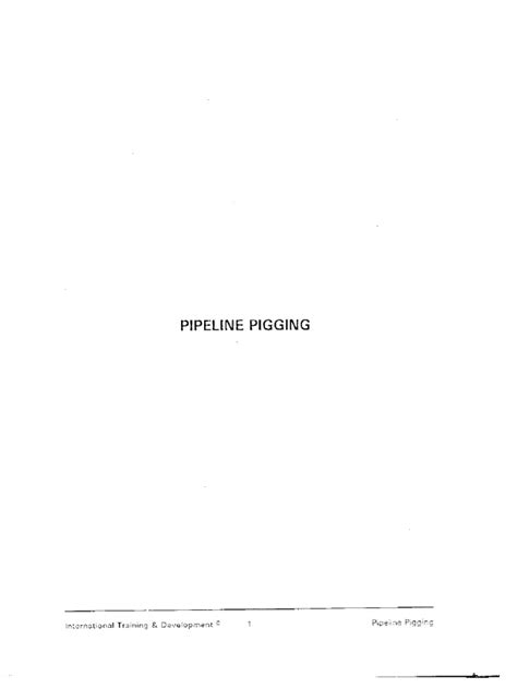 02 Pigging | PDF