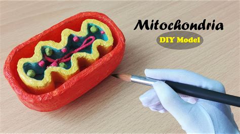 Plant Cell Mitochondria 3D Model : Plant Cell 3d Model 9 Max Obj Fbx ...