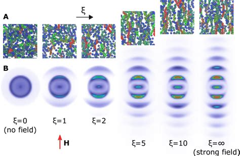 Field Structured Magnetic Colloids λ 3 Top A Simulation