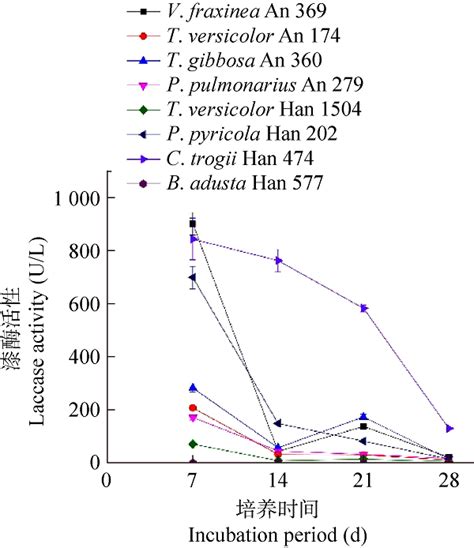 Screening Of Lignocellulose Degrading Fungal Strains And Their