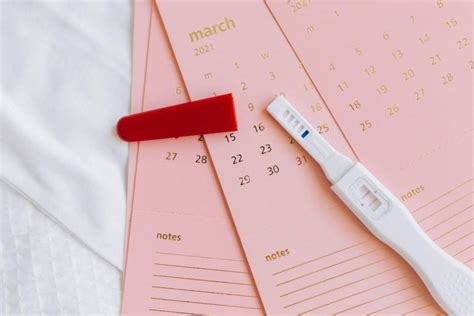 How To Use An Ovulation Calculator The Fertility Foundation