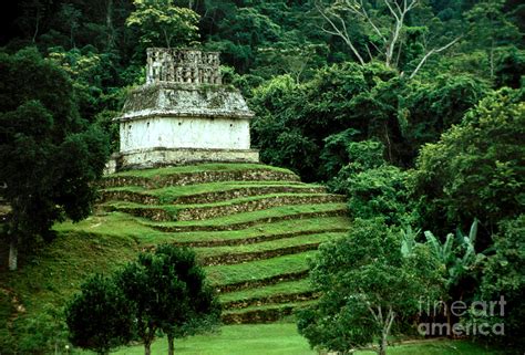 Mayan Pyramid at Palenque Photograph by Eva Kato