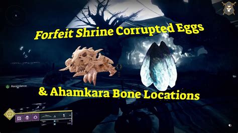 Forfeit Shrine Corrupted Eggs Ahamkara Bone Locations