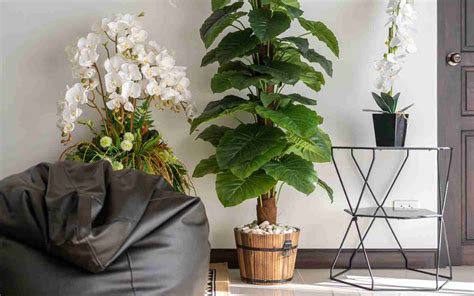 Easy Tips And Tricks For Decorating With Fake Plants Zameen Blog