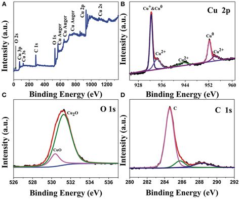 A XPS Survey Spectrum Of Cu 2 O CuO Cu CCs Samples And High