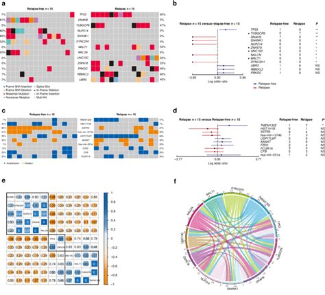 Somatic Gene Mutation And Copy Number Variation Profiles Of Patients