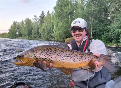 Brown Troutland Central Finland With Jani Himanko