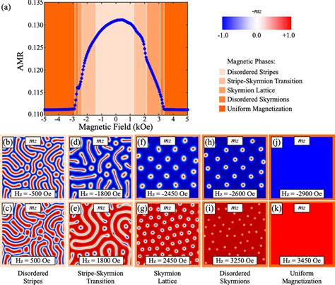 Micromagnetic Modeling Of Domain Morphology And Anisotropic