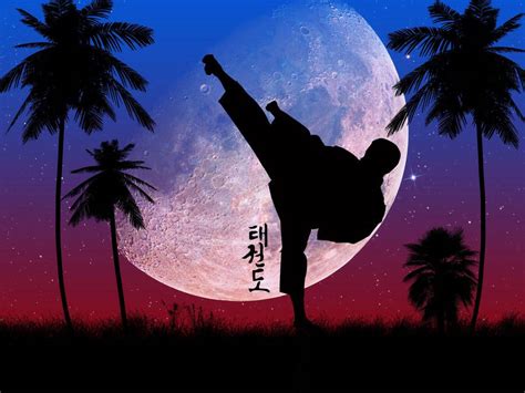 100 Taekwondo Wallpapers Wallpapers